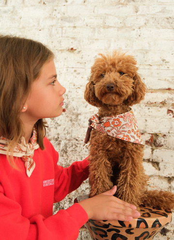 Bandana Chien BRIQUE