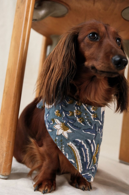 Bandana Chien Céladon